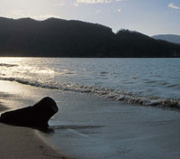Playa en la ensenada de Nenguange en el extremo noroccidental de la Sierra Nevada de Santa Marta.