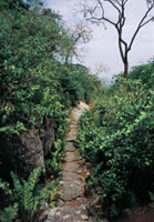 A la llegada de los espa�oles, la Sierra estaba densamente poblada por ind�genas tayronas que comunicaron sus poblados a trav�s de caminos empedrados.