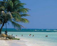 En San Andr�s, la barrera arrecifal protege la isla del intenso oleaje generado por los vientos; en sus aguas se desarrolla una variada vida que se refleja en el mar de los siete colores.