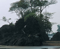 Las playas del golfo de Cupica y sus bah�as est�n asociadas a espigas o barras de arena. En ellas son frecuentes las formaciones de roca �gnea, que se encuentran cubiertas en la cima por vegetaci�n.
