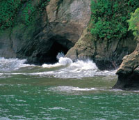 Los acantilados, que en promedio tienen 15 m de altura, son moldeados continuamente por la acci�n del fuerte oleaje del Pac�fico.