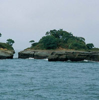 La topograf�a escarpada y discontinua del �rea, permite suponer la existencia de una falla tect�nica inactiva que se extiende desde punta Alta hasta isla Palma, en la entrada a la bah�a, que ha favorecido la formaci�n de escarpes, acantilados y cuevas.