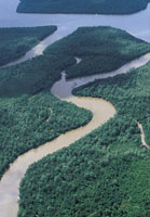 En los deltas de la bah�a la costa es baja y sedimentaria y se encuentra cruzada por una serie de canales, esteros, quebradas y r�os, muchos de los cuales traen aportes de sedimentos desde la cordillera Occidental.