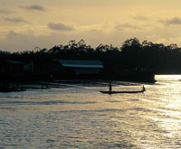La bah�a de Tumaco es una de las que recibe mayor cantidad de afluentes fluviales y en ella se desarrollan diversos ecosistemas estuarinos, donde hay una abundante riqueza �ctica.