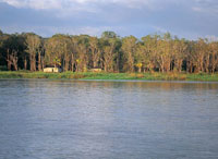 La regi�n se caracteriza por tener pluviosidades cercanas a los 4000 mm anuales, que aunque elevadas, son las menores del Pac�fico colombiano y permiten la existencia de densos bosques.