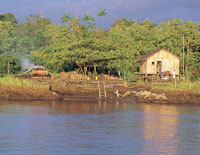Las costumbres de la regi�n se mantienen fuertemente arraigadas entre sus habitantes; la construcci�n de casas sobre pilares y de canoas de madera, al igual que las t�cnicas artesanales de pesca, han variado muy poco con el paso del tiempo.
