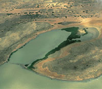 A lo largo de los casi 3.000 km de litoral, los grandes contrastes y la diversidad de ambientes de los golfos y las bah�as de Colombia, son la mejor muestra de la maravillosa diversidad que tiene nuestro pa�s. Son lugares que por presentar condiciones pro