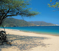 Las puntas que conforman la entrada a las bah�as reducen en gran medida la fuerza del oleaje contra la costa interna, donde las comunidades biol�gicas encuentran condiciones favorables para establecerse.