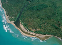 En algunas desembocaduras de r�os o madreviejas, el litoral se presenta protegido por un banco de arena que resulta de los sedimentos arrastrados por la corriente; este es un lugar donde habitan muchas especies que se benefician del intercambio de aguas.