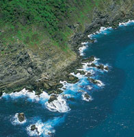 Los acantilados se modifican por la erosi�n que causa el mar en las rocas, dentro de las cuales se forman algunas cavidades que son aprovechadas como sitio de nidaci�n por diversas especies de aves.