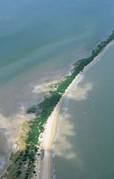 Las lagunas costeras est�n protegidas del mar por una barrera de sedimentos que permite el intercambio de aguas.