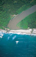 En la desembocadura de algunos r�os se presenta una conecci�n libre con el mar.