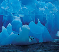Cuando se quiebran las grandes masas de hielo compactado que permanecen en los polos, causan un aumento en el nivel de los mares.