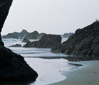 La formaci�n de la costa Pac�fica est� �ntimamente relacionada con el surgimiento de la cordillera de los Andes, que en Colombia es relativamente joven -unos 25 millones de a�os-.