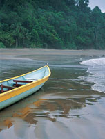 Las playas del Pac�fico son ecosistemas que han sido moldeados por el movimiento del agua, el viento y los aportes de sedimentos arrastrados por los numerosos r�os que all� desembocan. Atardecer en Barbacoas, Nari�o.