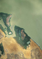 Manglar de borde en bah�a Portete en La Guajira, uno de los lugares m�s �ridos del pa�s.