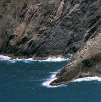 Litoral rocoso en la Sierra Nevada de Santa Marta, que a pesar de lo abrupto de su pendiente, est� habitado por especies que sobreviven en condiciones extremas.