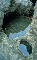 Los pozos de marea son ambientes que se forman en las zonas de acantilado, y propician el desarrollo de varias especies de peces en su etapa juvenil.