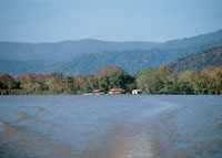 La serran�a del Dari�n es el punto donde se unieron Suram�rica y Centroam�rica y que permiti� el intercambio gen�tico entre dos zonas biol�gicas altamente diferenciadas.