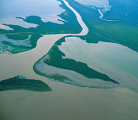 Las condiciones particulares del r�o Atrato dieron origen a diversos proyectos para la construcci�n de un canal interoce�nico que supliera las actuales deficiencias del canal de Panam�.