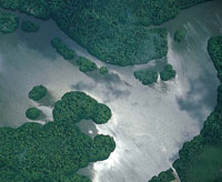 Ci�naga de Cispat�.