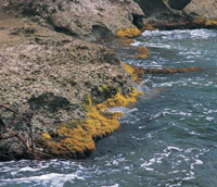Desde la Colonia, la bah�a de Cartagena ha sido uno de los puertos m�s importantes y densamente poblados del pa�s; en la actualidad, al lado de la arquitectura colonial, la ciudad alberga modernas construcciones.