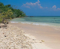 En la bah�a de Cartagena se encuentran playas con arenas de diversos tipos. Playa con arenas de origen coralino en las islas del Rosario.