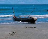 En las cercan�as de la bah�a se encuentran varias ci�nagas, donde est�n mejor conservadas la fauna y la flora.