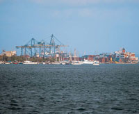 El puerto, donde la actividad industrial ha deteriorado el ambiente.