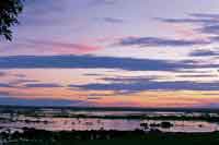 La extensa llanura de inundaci�n forma diferentes ecosistemas de sabanas h�medas y de humedales.