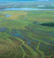 Paisaje de la llanura e�lica.