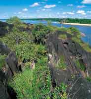 Bloque de roca gran�tica del escudo Guayan�s, cubierta por material xer�filo.