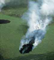Cada a�o son quemadas miles de hect�reas de sabana. El abuso de esta pr�ctica puede conducir al empobrecimiento del ecosistema.