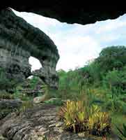 Rocas profundamente erosionadas de la serran�a de La Lindosa, al sureste de San Jos� del Guaviare.
