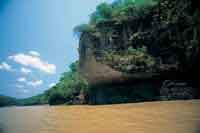 El r�o Guayabero fue una de las rutas migratorias importantes en el poblamiento de la regi�n