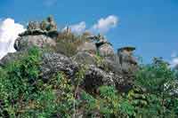 Cima erosionada de una mesa gran�tica, ocupada por Bromeli�ceas