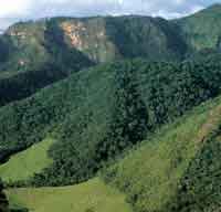 La deforestaci�n y la ganader�a avanzan sobre las selvas del Parque Nacional Natural Serran�a de La Macarena, con la consecuente p�rdida de biodiversidad y recursos gen�ticos