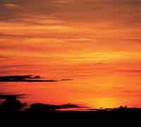 Una tarde de verano llanero.