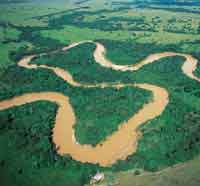 En la planicie aluvial de los r�os, la selva riparia ha sido fuertemente intervenida.