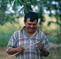 La diversidad �tnica y cultural de la Orinoquia es el producto de su origen y de la variedad de climas y de ambientes  que tiene esta gran cuenca
