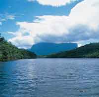 En la lejan�a se levanta uno de los tepuyes del escudo de la Guayana.