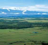 La planicie orinoquense o Llanos del Orinoco.