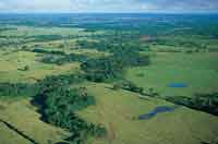 Sabanas secas y mata de monte o bosques de galer�a de la altillanura.