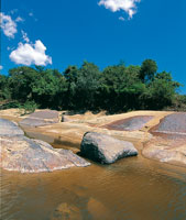 Afloramiento de roca gran�tica en el cauce del r�o Orinoco. El bosque de ribera alcanza poco desarrollo sobre este sustrato de suelos arenosos y pobres en nutrientes.