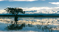 En un paisaje extenso y plano, la escasa pendiente y la alta precipitaci�n, fueron factores claves en la formaci�n de los ecosistemas de llanura de inundaci�n.