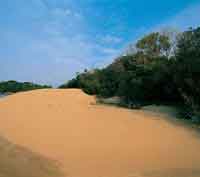 Durante algunos per�odos secos del Pleistoceno, los fuertes vientos dieron origen a dunas o m�danos.