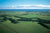 Panor�mica de los Llanos Orientales desde el piedemonte.