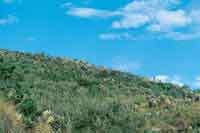 Momento de sol brillante.