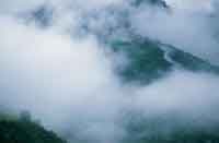 En los profundos valles de la vertiente, las masas de nubes cargadas de humedad contribuyen a mantener una vegetaci�n exuberante.
