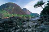 Cerros de Mavecure en Guain�a.